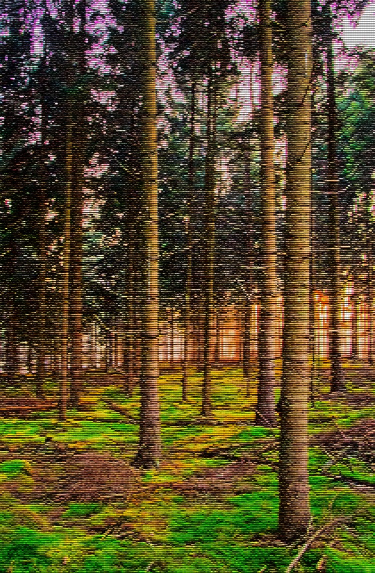 F300 Bedenksel_01 IMG_1677_1fl.jpg