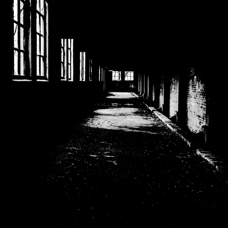 f309_2247_3zwgfl_bintje01