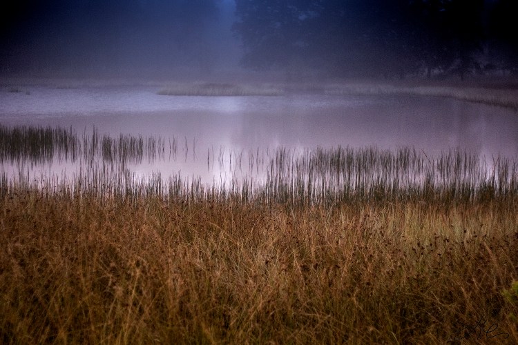 F379_1831_1flkl-2005