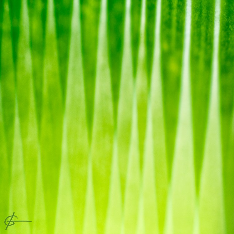 F415_3504_2sqfl_CG_02