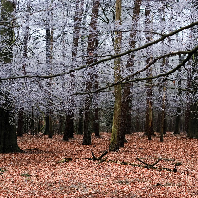 F464_2270 2006_1flkl